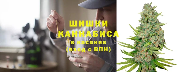 PSILOCYBIN Богородицк